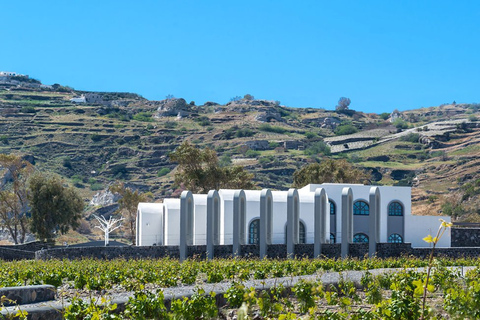 Santorini: tour guiado del vino con recogida y refrigeriosTour privado