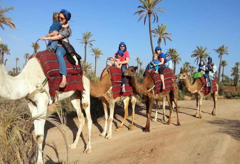 Paseo A Camello Al Atardecer Con Cena Barbacoa Y Traslados Al Hotel