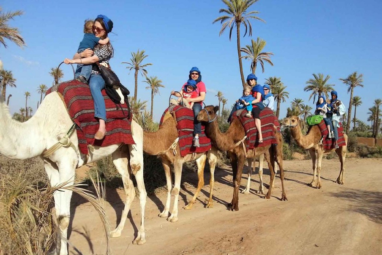 Passeggiata in cammello al tramonto con cena barbecue e trasferimenti in hotelPartenza da Agadir