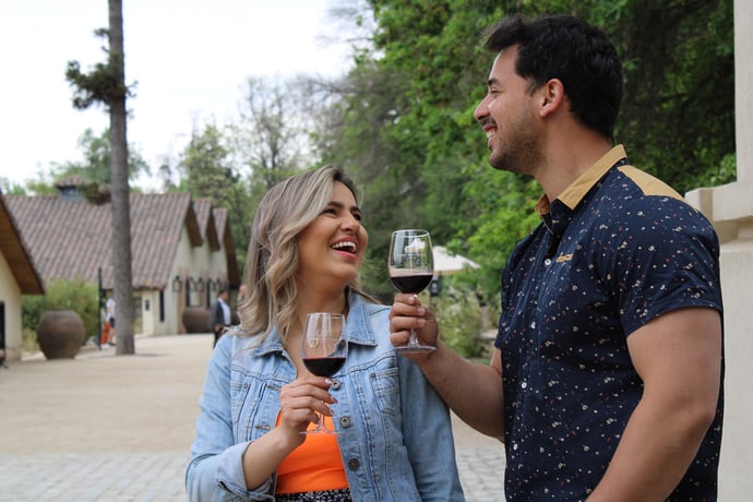 From Santiago: Concha y Toro Winery Tour and Wine Tasting