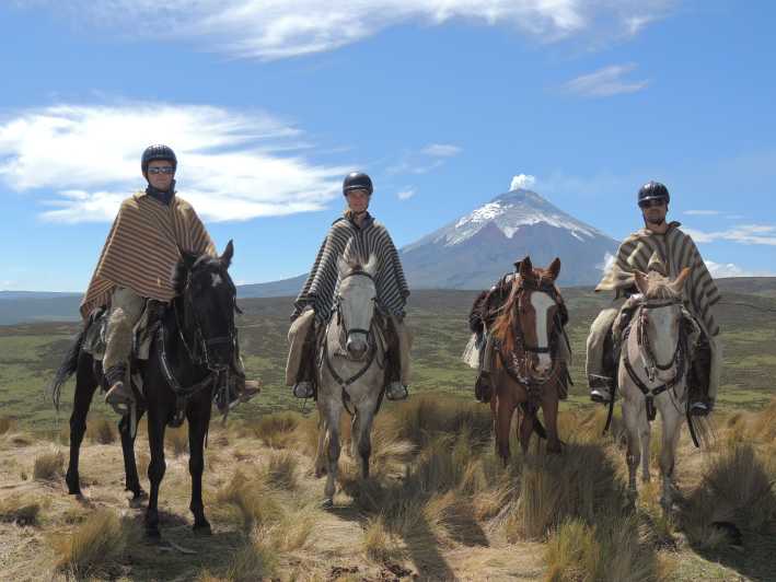 Da Quito: giro a cavallo e gita di un giorno al Parco Nazionale Cotopaxi