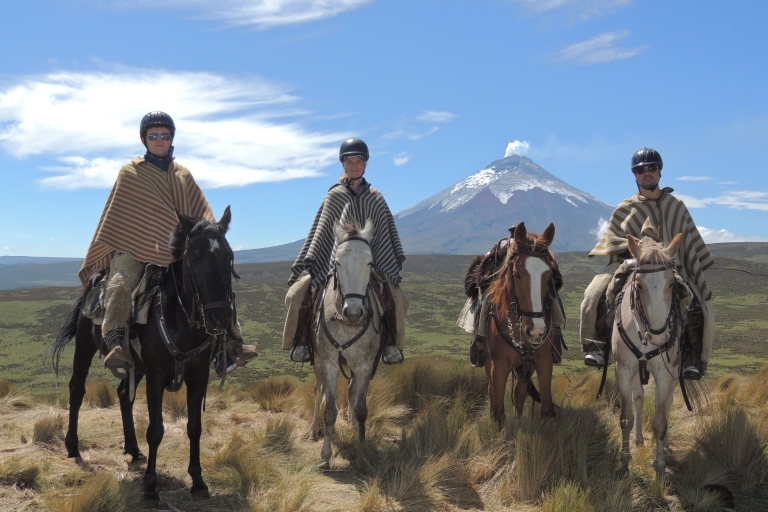 Z Quito: jednodniowa wycieczka konna i Park Narodowy Cotopaxi