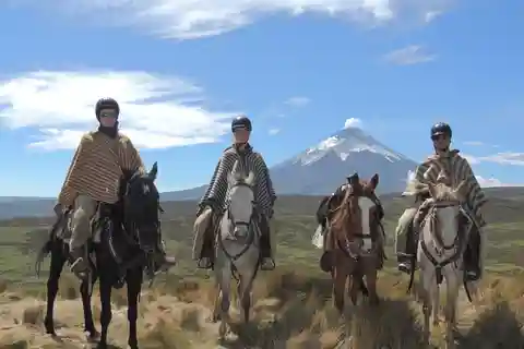 From Quito: Horseback Ride & Cotopaxi National Park Day Trip