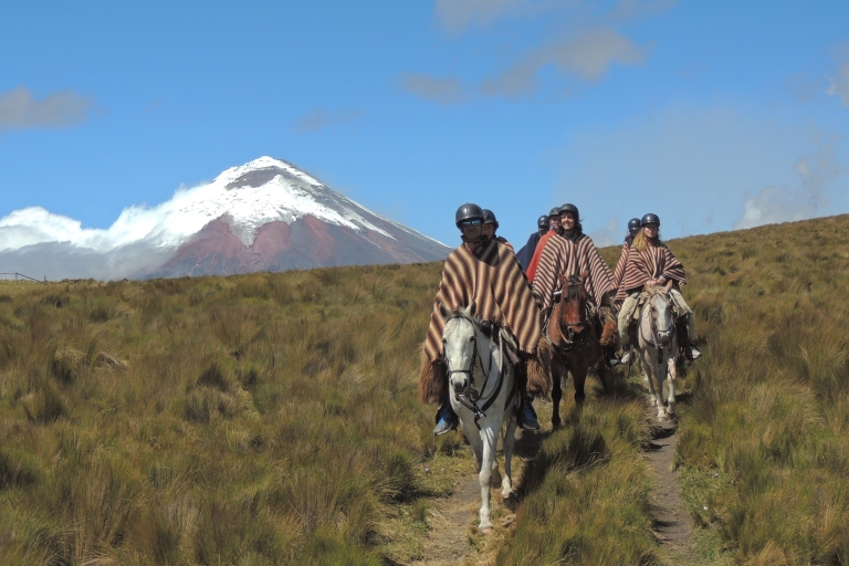 Von Quito aus: Ausritt und Tagesausflug in den Cotopaxi-Nationalpark