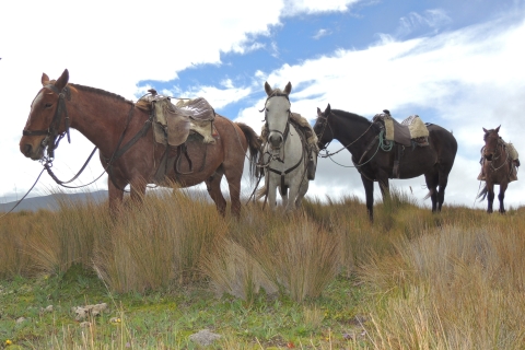 De Quito: balade à cheval et excursion d'une journée au parc national du Cotopaxi