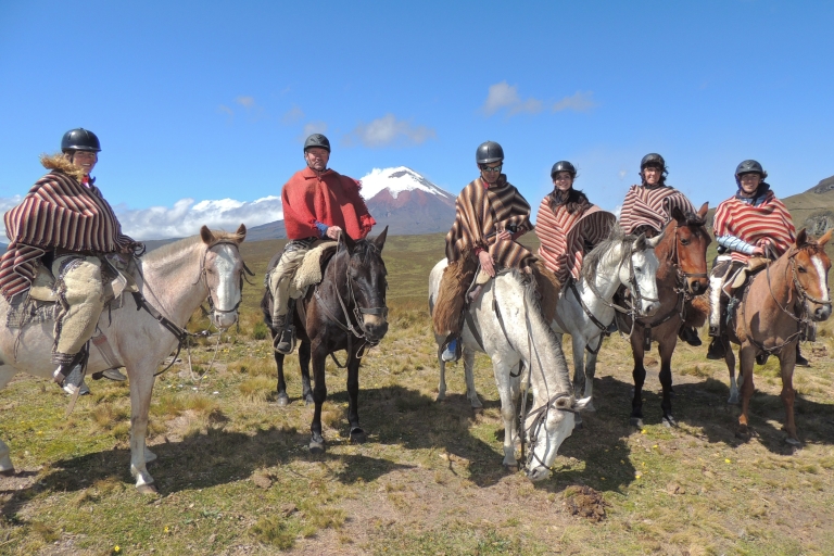 Van Quito: paardrijtocht & Cotopaxi National Park-dagtrip