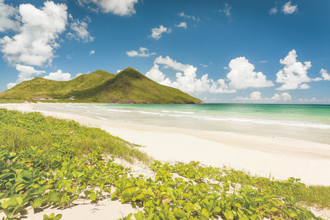 Basseterre: najważniejsze atrakcje stolicy i wycieczka po plażyOpcja standardowa