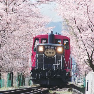 Kyoto: treno Sagano e giro turistico di un giorno con pranzo