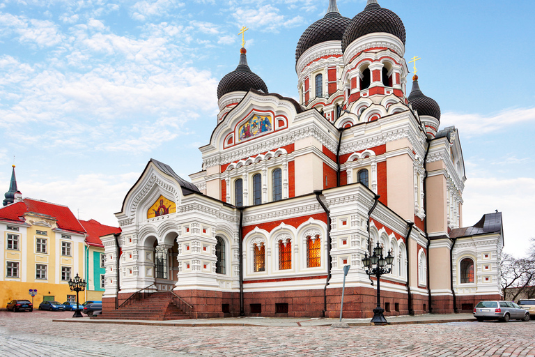 Tallinn: Half-Day Guided Highlights Tour with Port Transfer