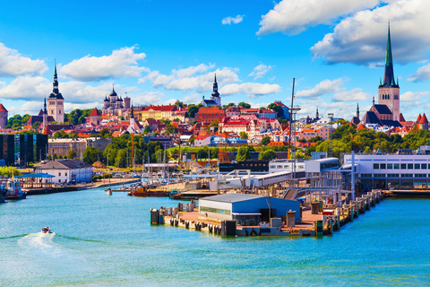 Tallinn: begeleide hoogtepunten van een halve dag met haventransfer