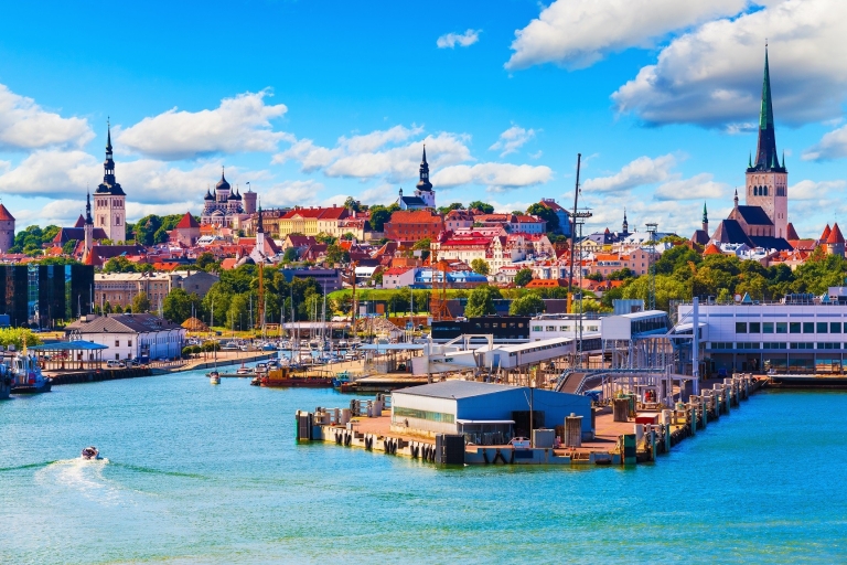 Tallinn: privérondleiding van een halve dag met haventransfers