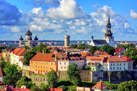 Tallinn: tour guidato privato di mezza giornata dal porto o dall'hotel