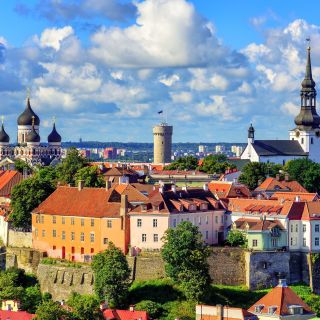 Tallinn: Private Half-Day Guided Tour with Port Transfers