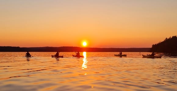 Stockholm: Kajaktour bei Sonnenuntergang auf dem Mälarsee mit Tee und Kuchen