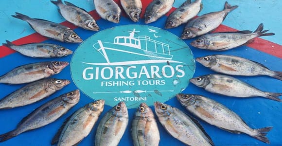 Santorini: Traditional Fishing Trip and Fresh Fish Lunch