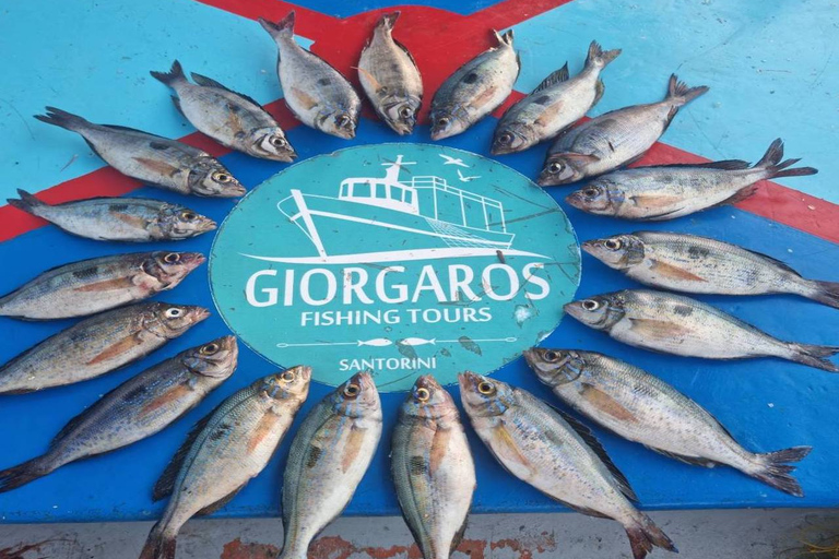 Santorini: viagem de pesca tradicional e almoço com peixe fresco