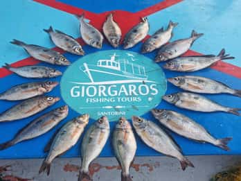 Santorini: Excursión de Pesca Tradicional y Almuerzo de Pescado Fresco