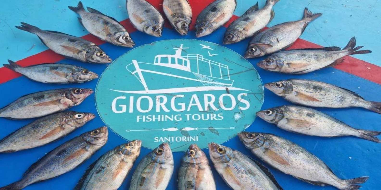petulance Sølv bund Santorini: Traditionel fisketur og frokost med frisk fisk | GetYourGuide