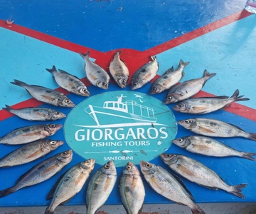 Santorini: Traditional Fishing Trip and Fresh Fish Lunch