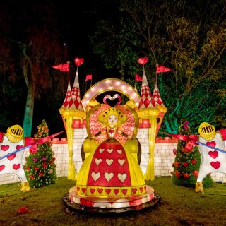 Porto: Alice in Wonderland Immersive Illuminated Show
