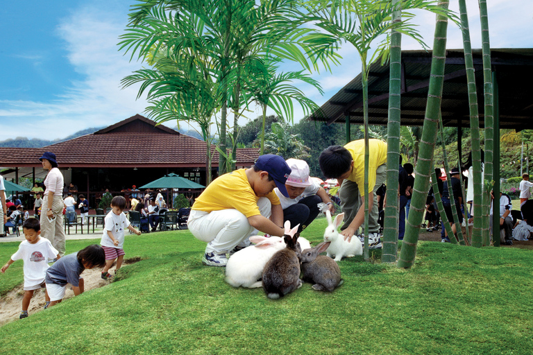 De Kuala Lumpur: Viagem de 1 dia a Colmar Tropicale e Batu CavesDe Kuala Lumpur: viagem de um dia a Colmar Tropicale e Batu Caves