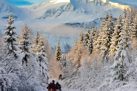 Tromsø: Lyngen Alps Snowmobile Tour with Soup &amp; Drinks