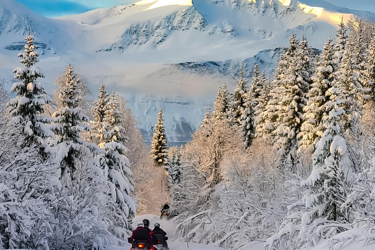 Tromsø: Lyngen Alps Snowmobile Tour with Soup &amp; Drinks