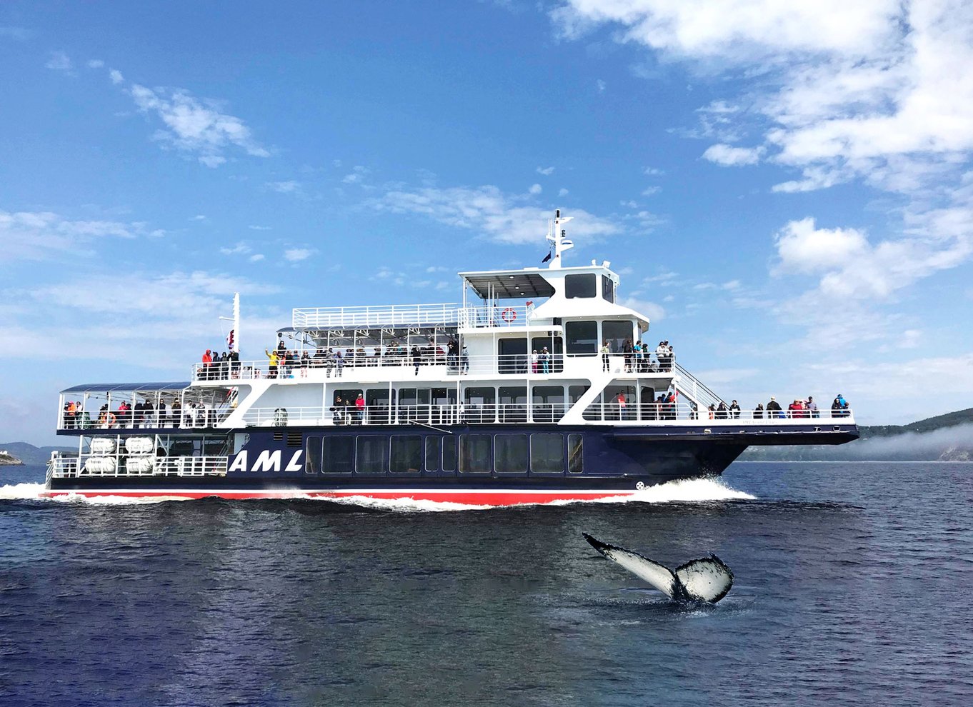 Tadoussac/Charlevoix: Hvalsafari og bjørneobservation