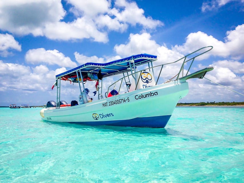 Discover Scuba Diving in Cozumel 2 Tanks | GetYourGuide