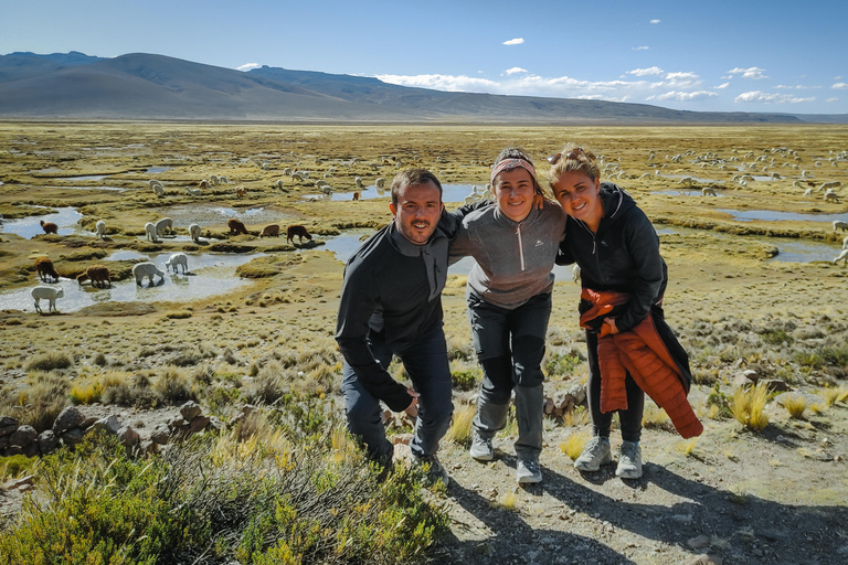 Ganztagestour zum Colca CanyonAb Arequipa: Ganztagestour zum Colca Canyon