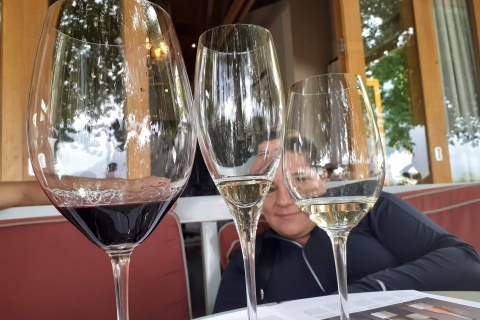 From Cape Town: Wine Route Day Tour Fullday Wine Tour