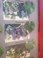 Tour del vino intero - Housity