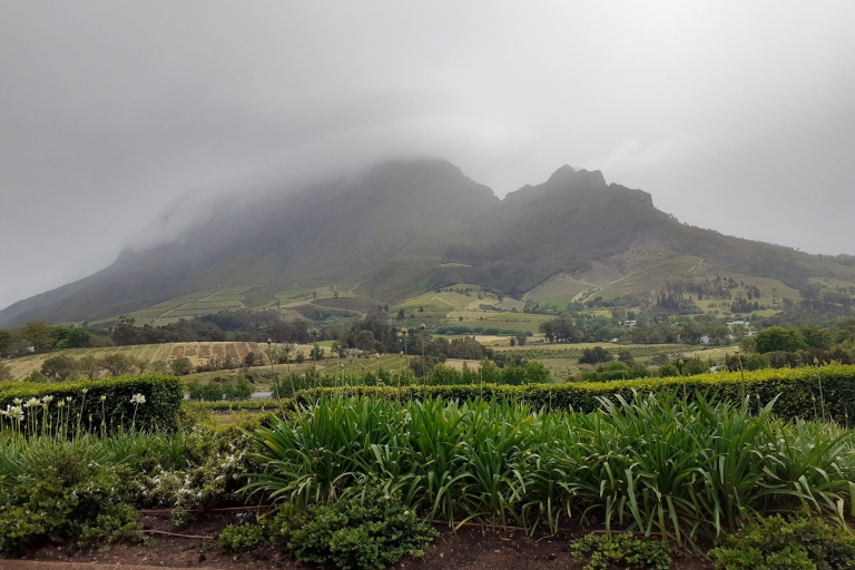 Desde Ciudad del Cabo: tour de un día por la ruta del vinoTour de vino de día completo
