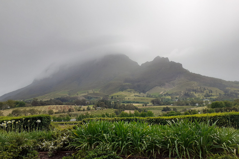 De Cape Town: excursion d'une journée sur la route des vinsVisite œnologique d'une journée