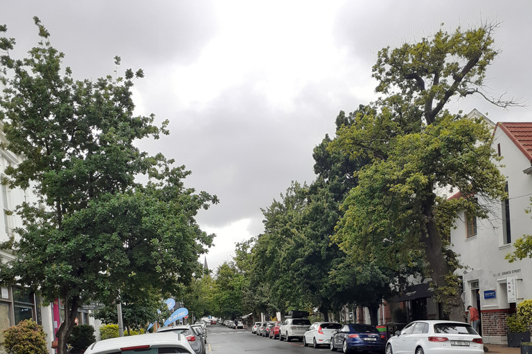 De Cape Town: excursion d'une journée sur la route des vinsVisite œnologique d'une journée