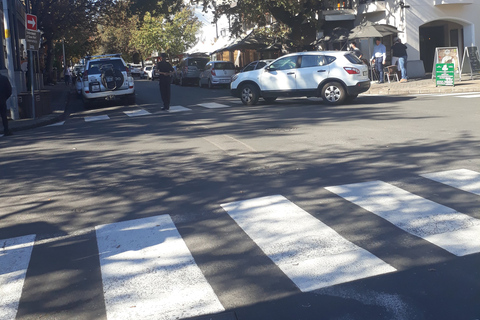 De Cape Town: excursion d'une journée sur la route des vinsVisite œnologique d'une journée