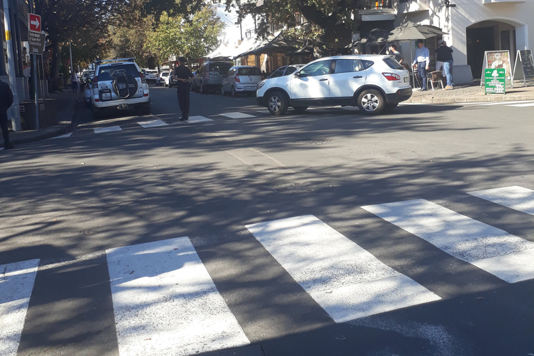 De Cape Town: excursion d'une journée sur la route des vinsVisite œnologique d'une journée