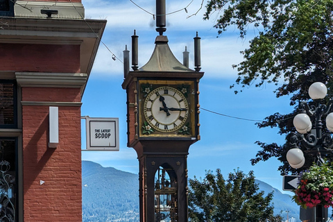 Stanley Pak-Capilano Susp Bridge &amp; Grouse Mount Privat tur