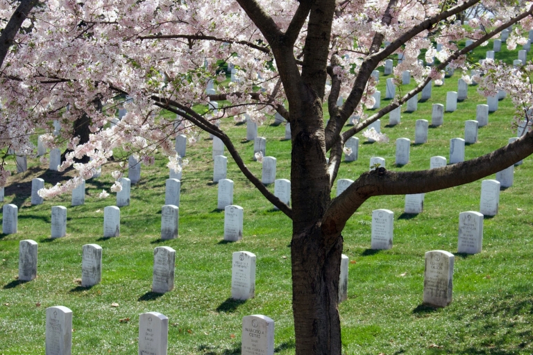 Arlington: visite guidée à pied du cimetière privé d'Arlington
