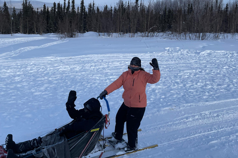 Fairbanks, Alaska: Tag Sled Dog Mushing Experience