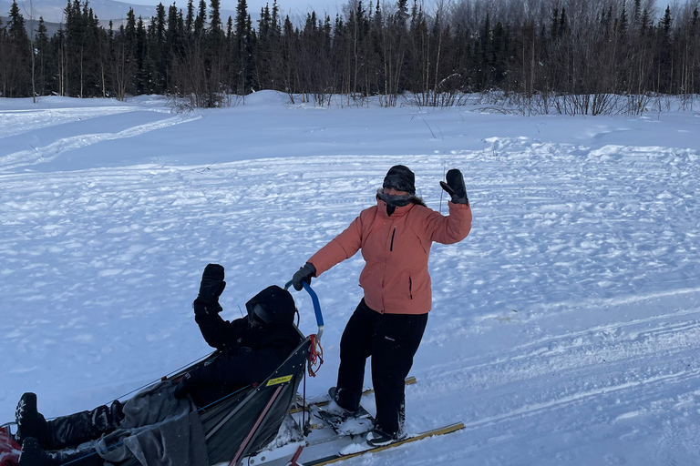 Fairbanks, Alaska: Tag Sled Dog Mushing Experience
