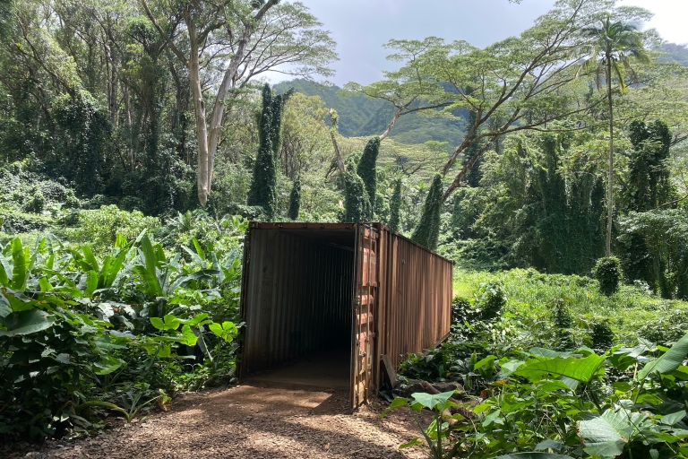 Transporte de senderismo por el sendero de las cataratas de ManoaDesde Honolulu: traslado a Manoa Falls Trail con recogida en el hotel