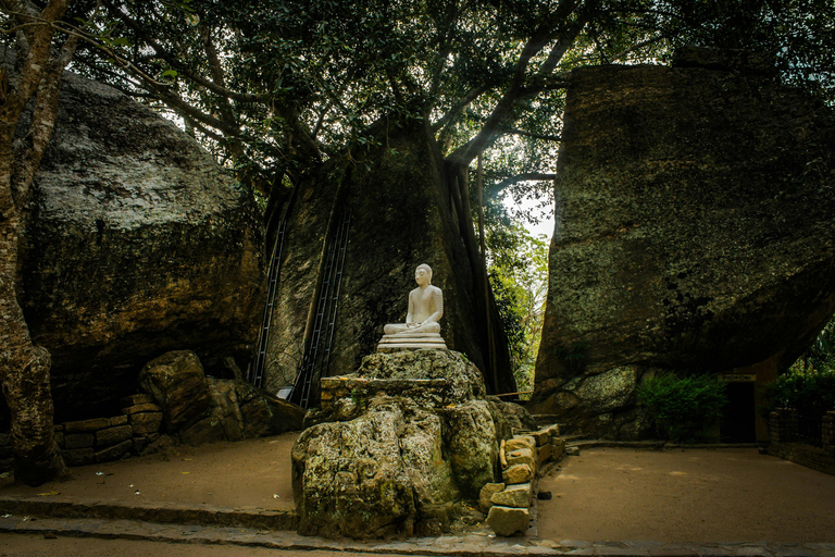 Colombo: Private Transfer to Sigiriya or Kandy with Stops