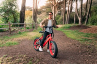 Leesburg, día completo o medio día de alquiler de bicicletas eléctricas - Hizvo