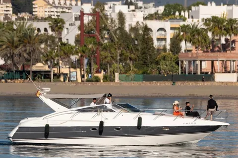 Marbella: Puerto Banús 2-hour dolphin watching cruise