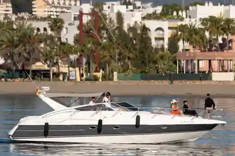 Marbella: Puerto Banús 2-hour dolphin watching cruise