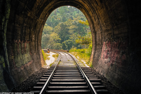 From Kandy: Ella private Day Tour With Train Ride