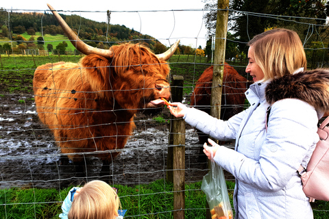 Loch Ness, Glencoe,Highlands Private Day Tour from Edinburgh