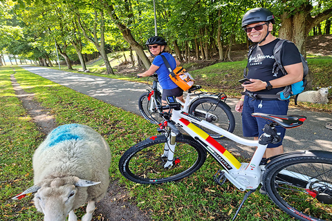 Copenhagen: Private Forgotten Giants E-Bike Treasure Hunt