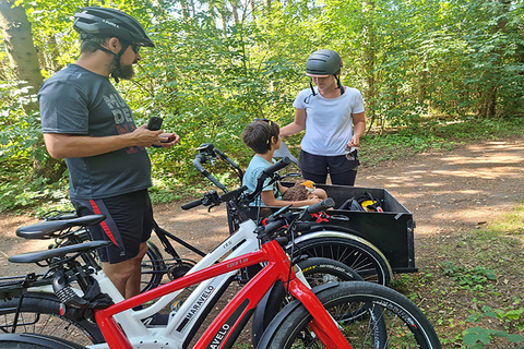 Copenhagen: Private Forgotten Giants E-Bike Treasure Hunt